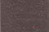 AI.jpg (38225 bytes)