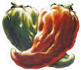 Chili_Pepper.JPG (62164 bytes)