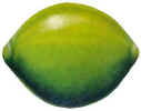 Lime.JPG 47235 bytes