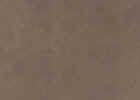 Mocha_small.JPG (1099 bytes)