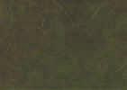 Moss_Fabric.JPG (59445 bytes)