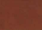 Nutmeg_Fabric.JPG (94674 bytes)