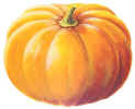 Pumpkin.JPG (52974 bytes)