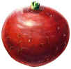 Radish.JPG (64033 bytes)