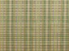 Veronica_Fabric.JPG (95193 bytes)