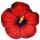 hibiscus_small.JPG (2532 bytes)